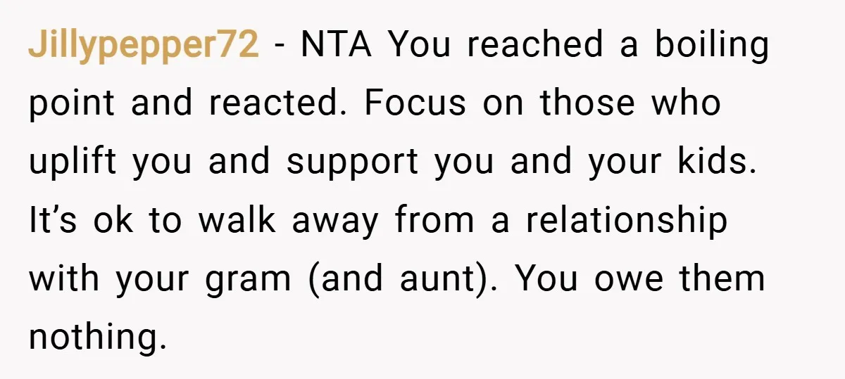 Jillypepper72 − NTA You reached a boiling point and reacted. Focus on those who uplift you and support you and your kids. It’s ok to walk away from a relationship...