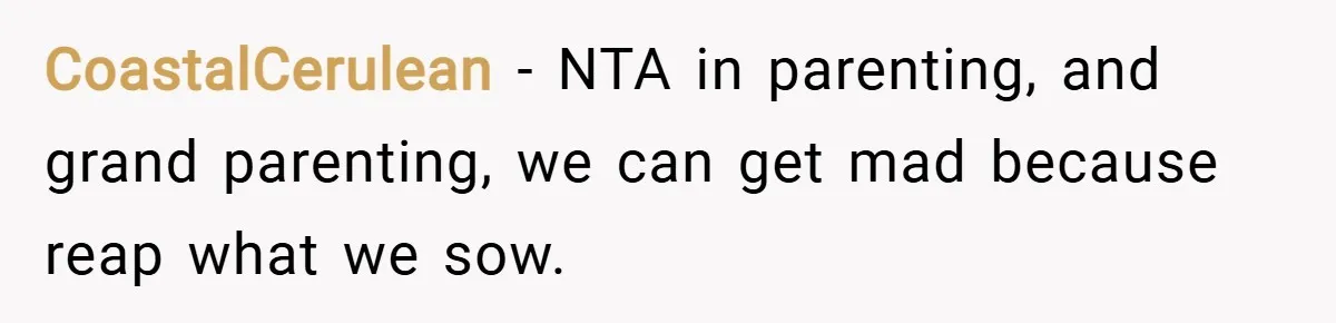 CoastalCerulean − NTA in parenting, and grand parenting, we can get mad because reap what we sow.