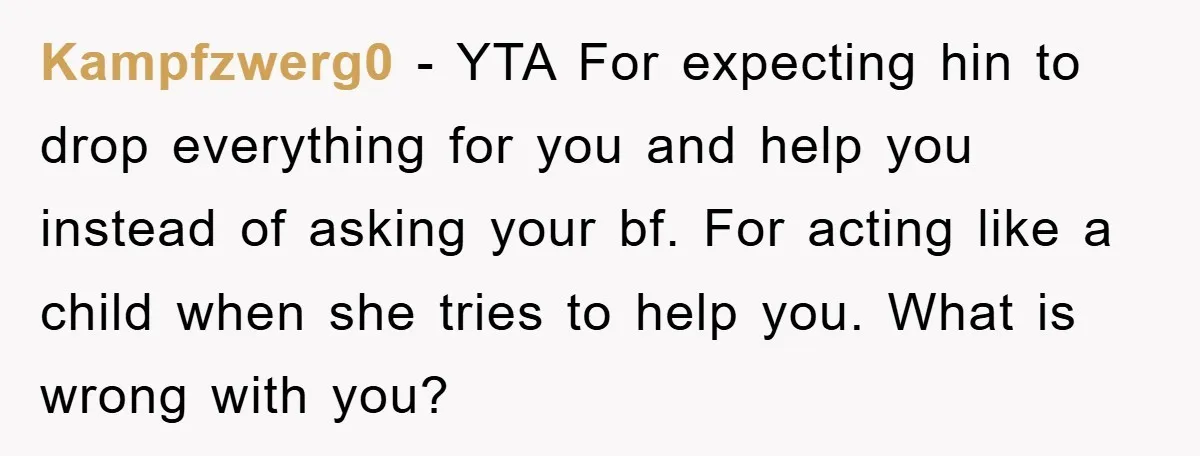 Kampfzwerg0 − YTA For expecting hin to drop everything for you and help you instead of asking your bf. For acting like a child when she tries to help you....