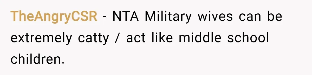 TheAngryCSR − NTA Military wives can be extremely catty / act like middle school children.