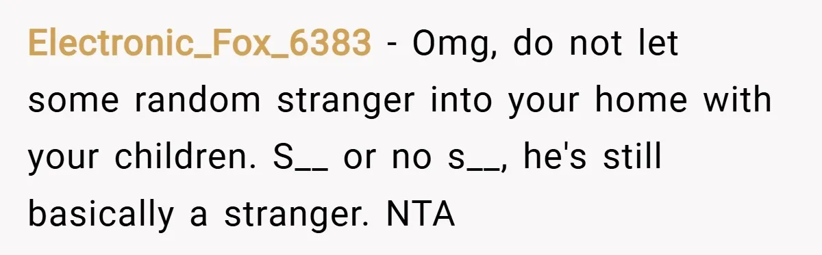 Electronic_Fox_6383 − Omg, do not let some random stranger into your home with your children. S__ or no s__, he's still basically a stranger. NTA