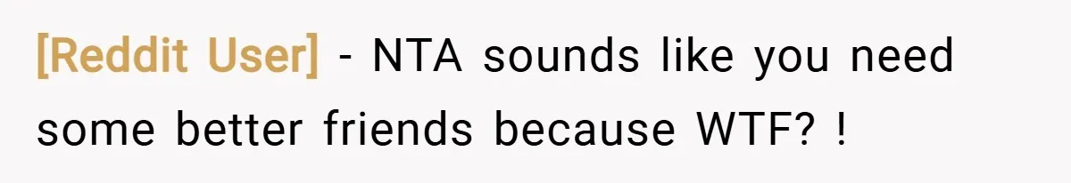 [Reddit User] − NTA sounds like you need some better friends because WTF? !