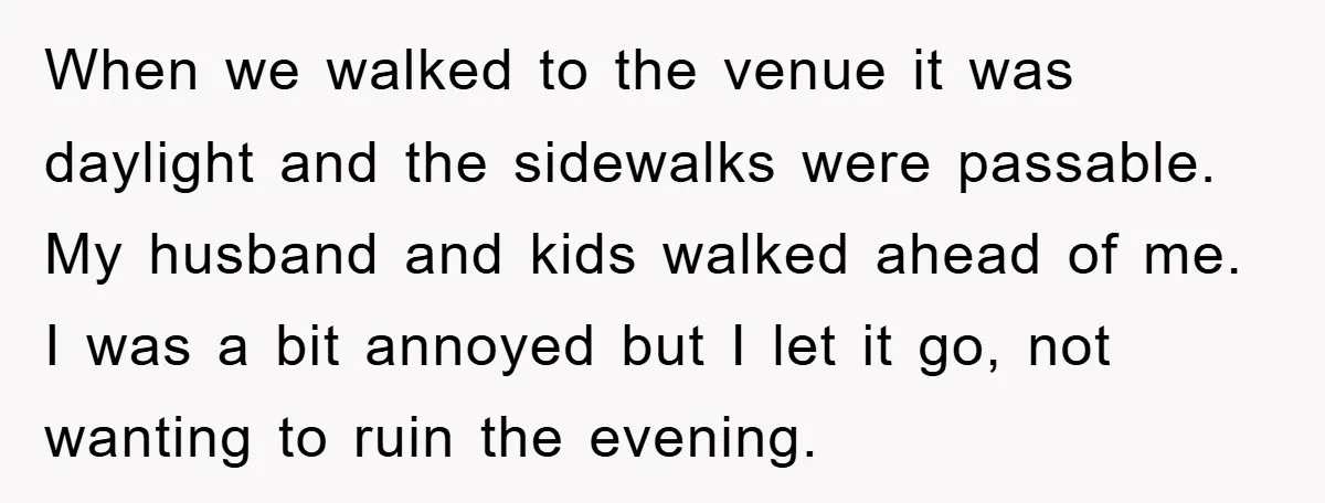 When we walked to the venue it was daylight and the sidewalks were passable. My husband and kids walked ahead of me. I was a bit annoyed but I let...