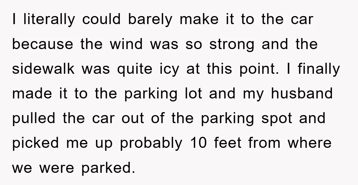 I literally could barely make it to the car because the wind was so strong and the sidewalk was quite icy at this point. I finally made it to the...
