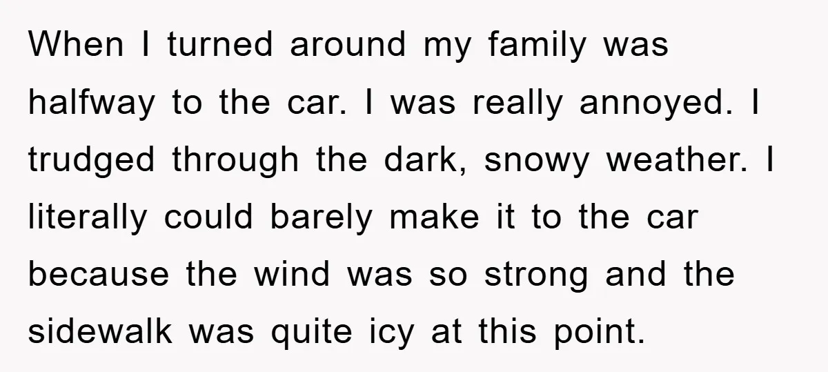 When I turned around my family was halfway to the car. I was really annoyed. I trudged through the dark, snowy weather. I literally could barely make it to the...
