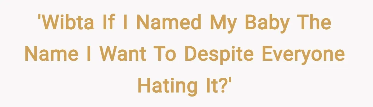 'WIBTA if I named my baby the name I want to despite everyone hating it?'