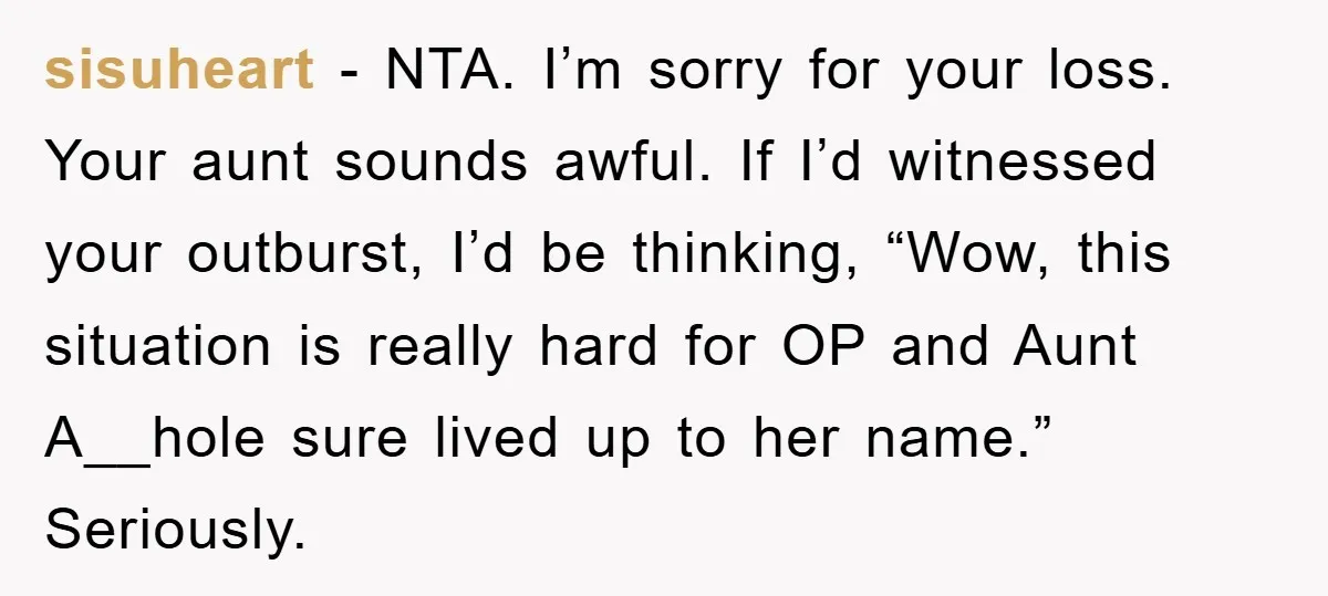 sisuheart - NTA. I’m sorry for your loss. Your aunt sounds awful. If I’d witnessed your outburst, I’d be thinking, “Wow, this situation is really hard for OP and Aunt...