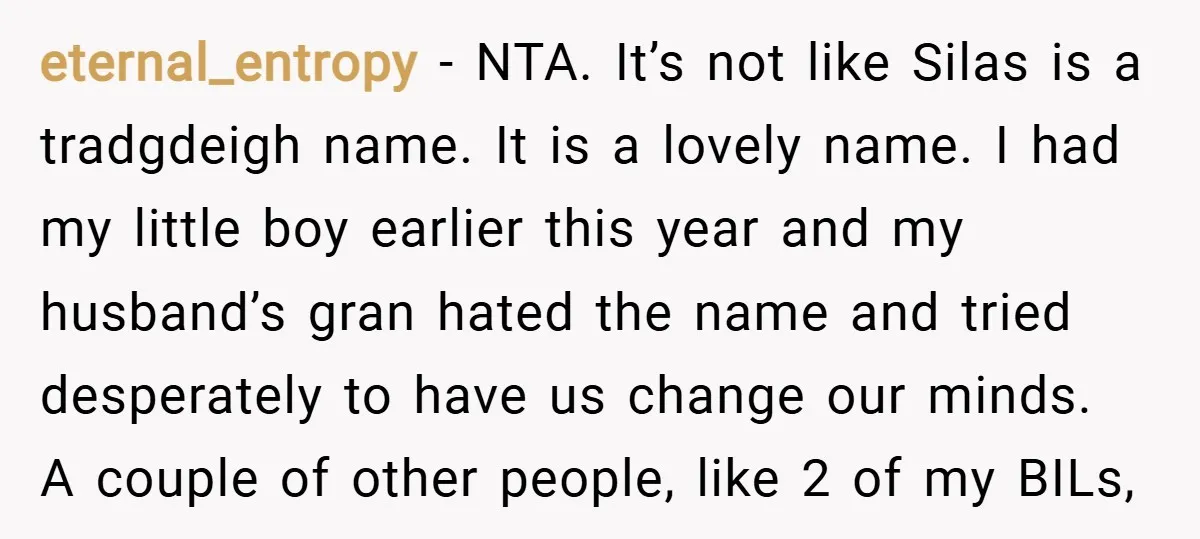 eternal_entropy − NTA. It’s not like Silas is a tradgdeigh name. It is a lovely name. I had my little boy earlier this year and my husband’s gran hated the...