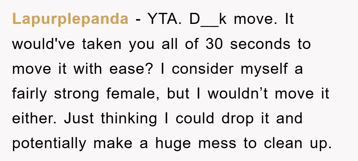 Lapurplepanda − YTA. D__k move. It would've taken you all of 30 seconds to move it with ease? I consider myself a fairly strong female, but I wouldn’t move it...