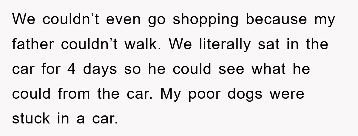 We couldn’t even go shopping because my father couldn’t walk. We literally sat in the car for 4 days so he could see what he could from the car. My...