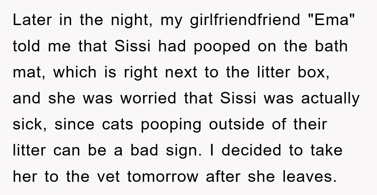 Later in the night, my girlfriendfriend "Ema" told me that Sissi had pooped on the bath mat, which is right next to the litter box, and she was worried that...