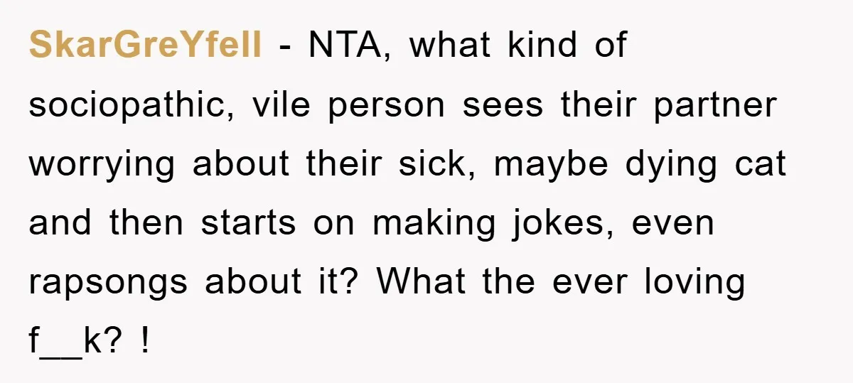 SkarGreYfell − NTA, what kind of sociopathic, vile person sees their partner worrying about their sick, maybe dying cat and then starts on making jokes, even rapsongs about it? What...