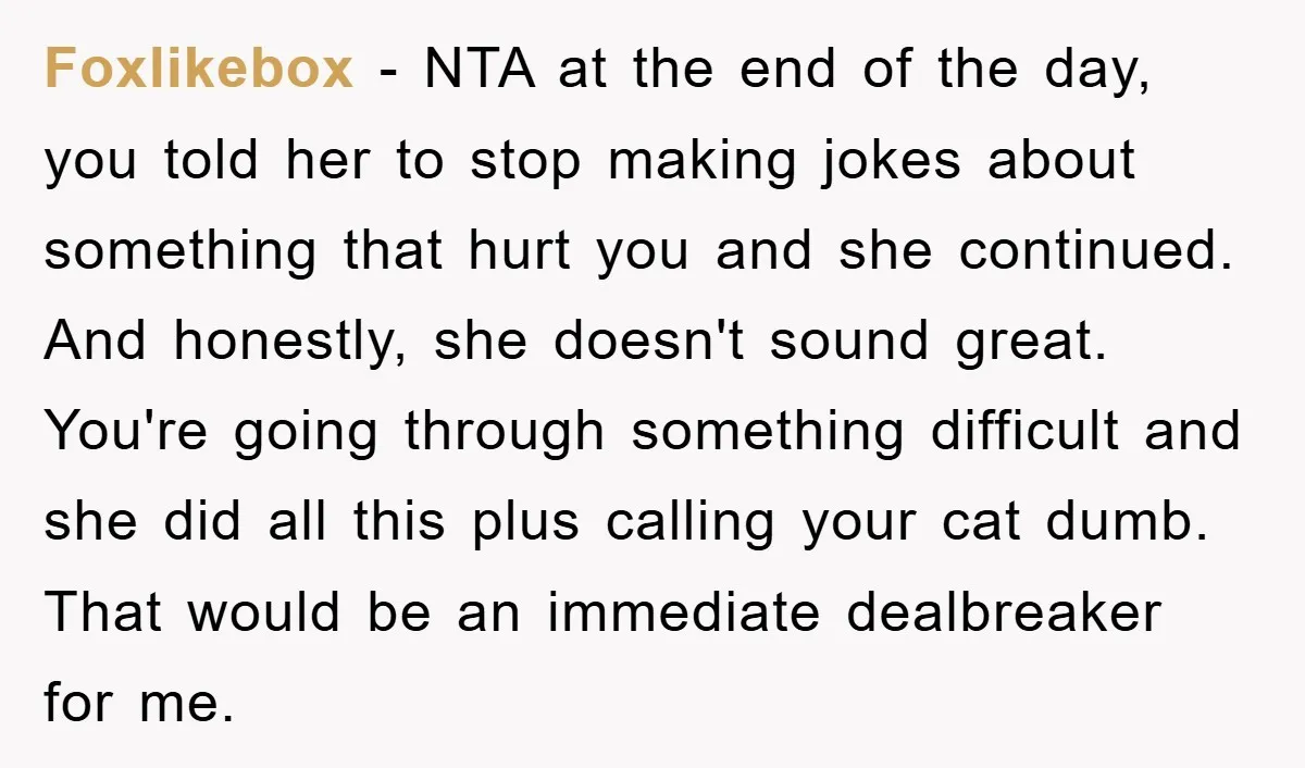 Foxlikebox − NTA at the end of the day, you told her to stop making jokes about something that hurt you and she continued. And honestly, she doesn't sound great....