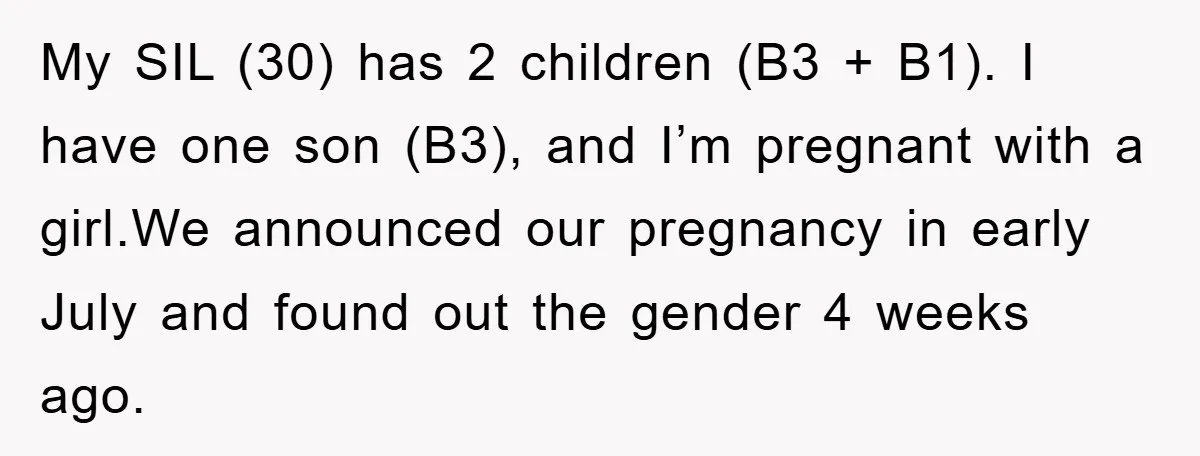 My SIL (30) has 2 children (B3 + B1). I have one son (B3), and I’m pregnant with a girl.We announced our pregnancy in early July and found out the...