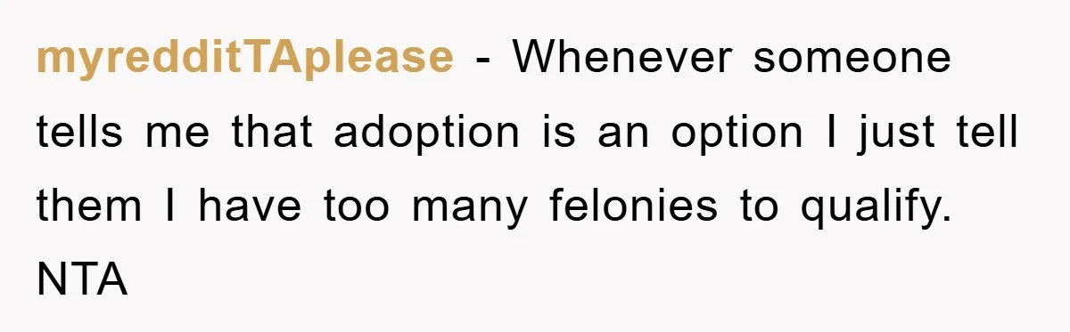 myredditTAplease − Whenever someone tells me that adoption is an option I just tell them I have too many felonies to qualify. NTA