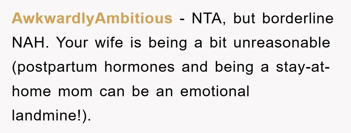 AwkwardlyAmbitious - NTA, but borderline NAH. Your wife is being a bit unreasonable (postpartum hormones and being a stay-at-home mom can be an emotional landmine!).