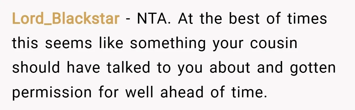 Lord_Blackstar − NTA. At the best of times this seems like something your cousin should have talked to you about and gotten permission for well ahead of time.