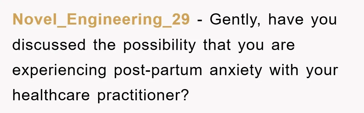Novel_Engineering_29 − Gently, have you discussed the possibility that you are experiencing post-partum anxiety with your healthcare practitioner?