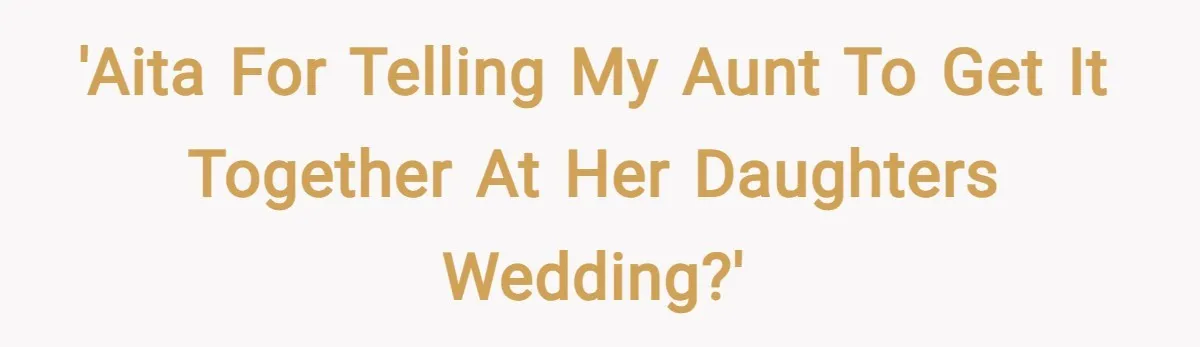 'AITA for telling my aunt to get it together at her daughters wedding?'