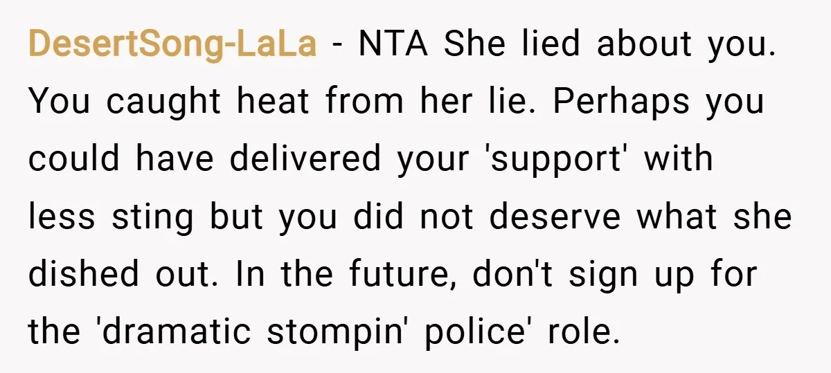 DesertSong-LaLa − NTA She lied about you. You caught heat from her lie. Perhaps you could have delivered your 'support' with less sting but you did not deserve what she...