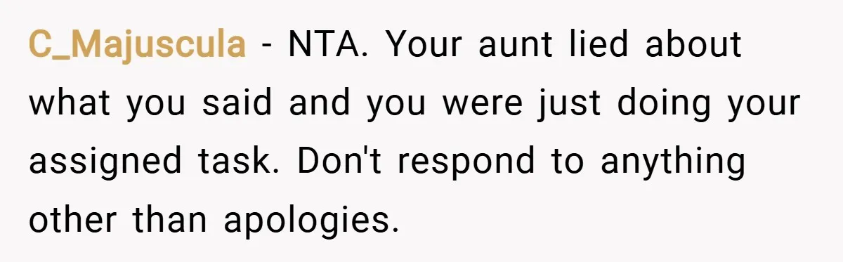 C_Majuscula − NTA. Your aunt lied about what you said and you were just doing your assigned task. Don't respond to anything other than apologies.