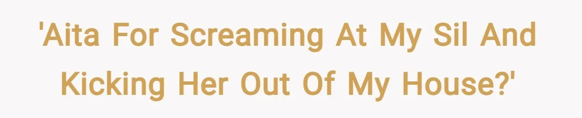 'AITA for screaming at my SIL and kicking her out of my house?'