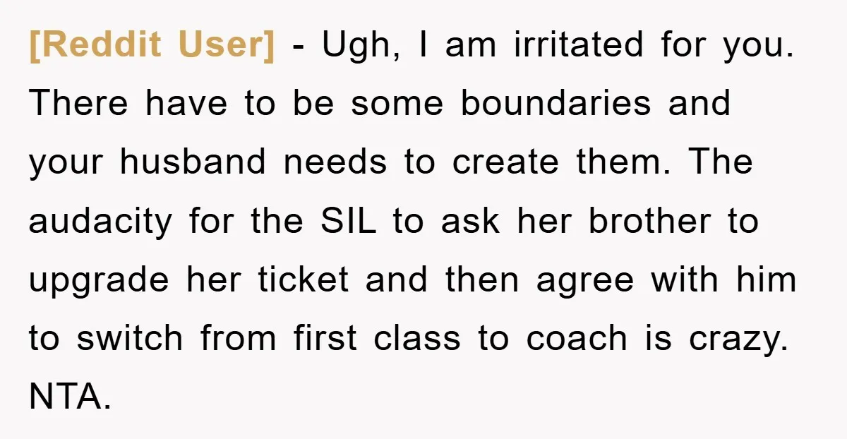 [Reddit User] - Ugh, I am irritated for you. There have to be some boundaries and your husband needs to create them. The audacity for the SIL to ask her...