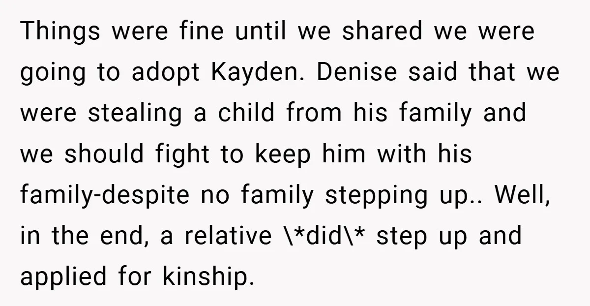 Things were fine until we shared we were going to adopt Kayden. Denise said that we were stealing a child from his family and we should fight to keep him...