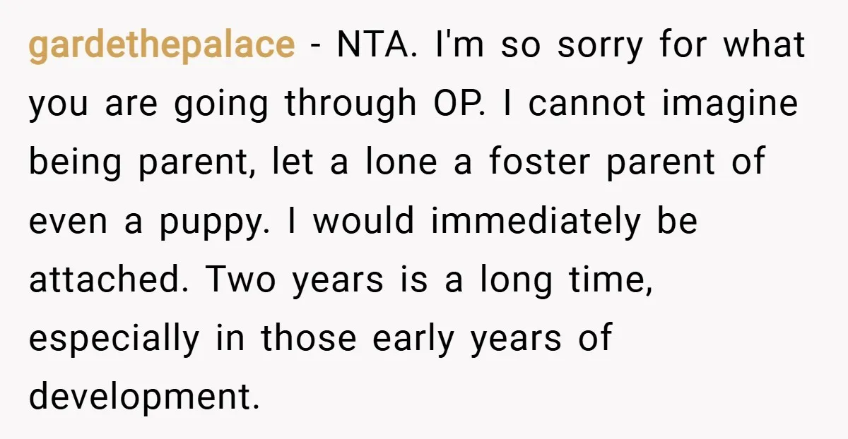 gardethepalace − NTA. I'm so sorry for what you are going through OP. I cannot imagine being parent, let a lone a foster parent of even a puppy. I would...
