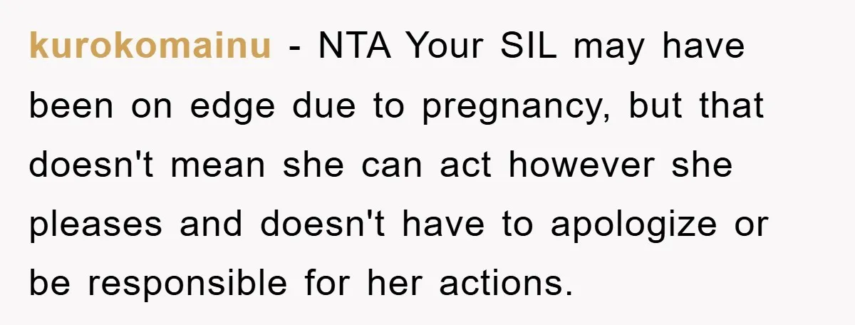 kurokomainu − NTA Your SIL may have been on edge due to pregnancy, but that doesn't mean she can act however she pleases and doesn't have to apologize or be...