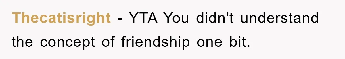 Thecatisright - YTA You didn't understand the concept of friendship one bit.