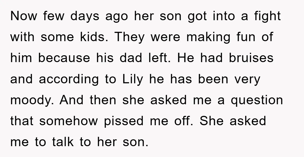 Now few days ago her son got into a fight with some kids. They were making fun of him because his dad left. He had bruises and according to Lily...