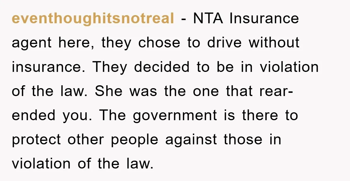 eventhoughitsnotreal − NTA Insurance agent here, they chose to drive without insurance. They decided to be in violation of the law. She was the one that rear-ended you. The government...