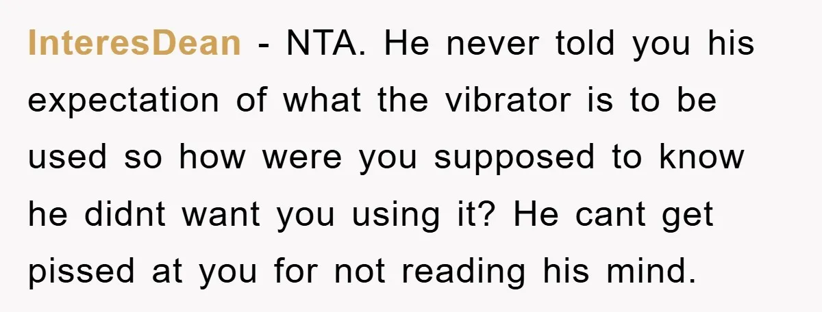 InteresDean − NTA. He never told you his expectation of what the vibrator is to be used so how were you supposed to know he didnt want you using it?...
