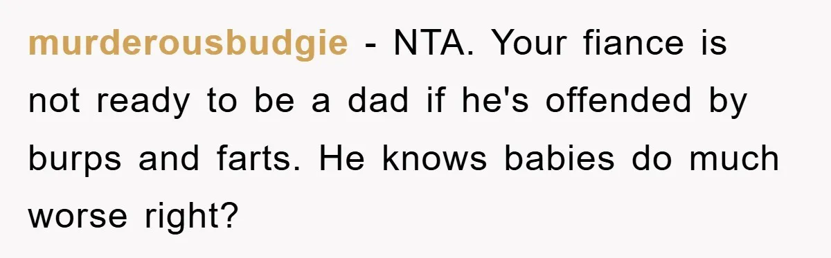murderousbudgie − NTA. Your fiance is not ready to be a dad if he's offended by burps and farts. He knows babies do much worse right?