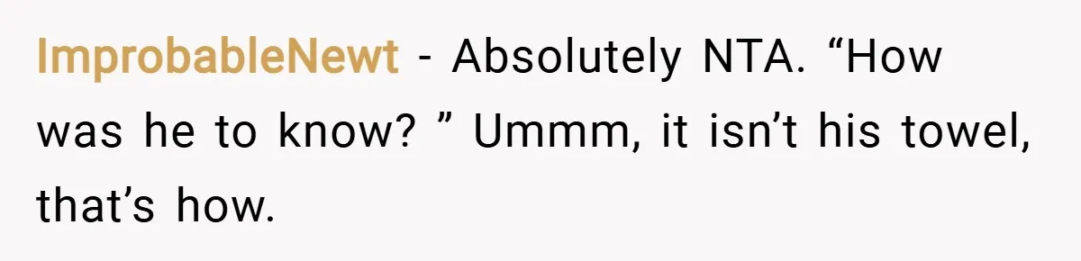 ImprobableNewt − Absolutely NTA. “How was he to know? ” Ummm, it isn’t his towel, that’s how.