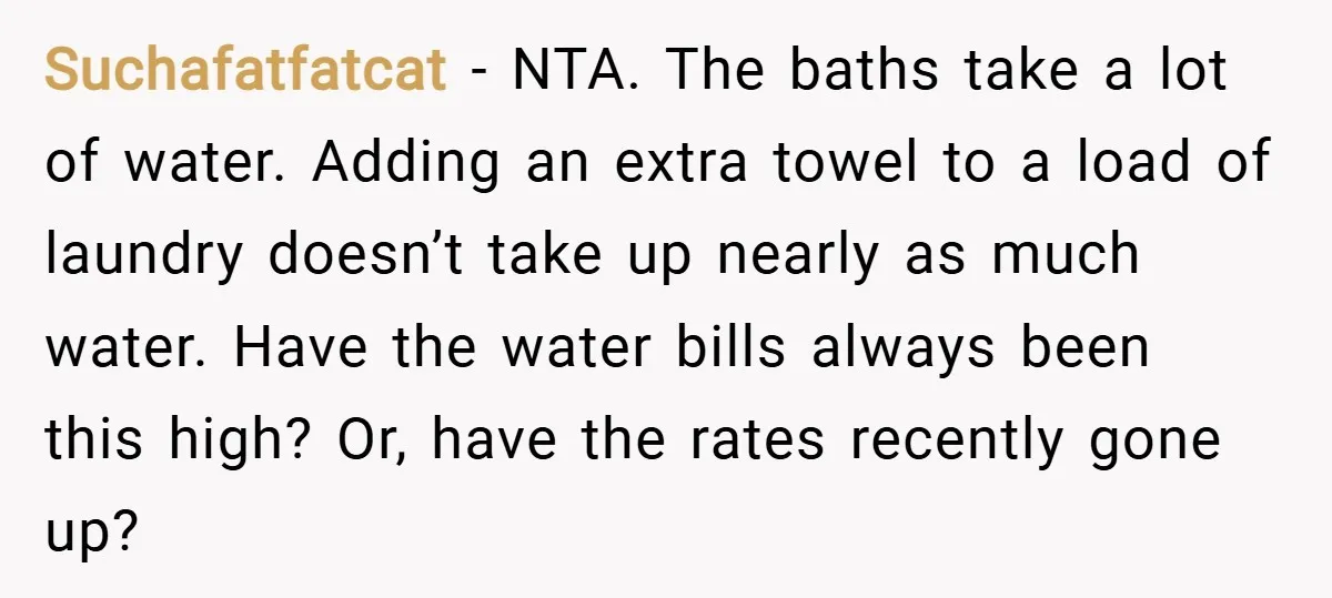 Suchafatfatcat − NTA. The baths take a lot of water. Adding an extra towel to a load of laundry doesn’t take up nearly as much water. Have the water bills...