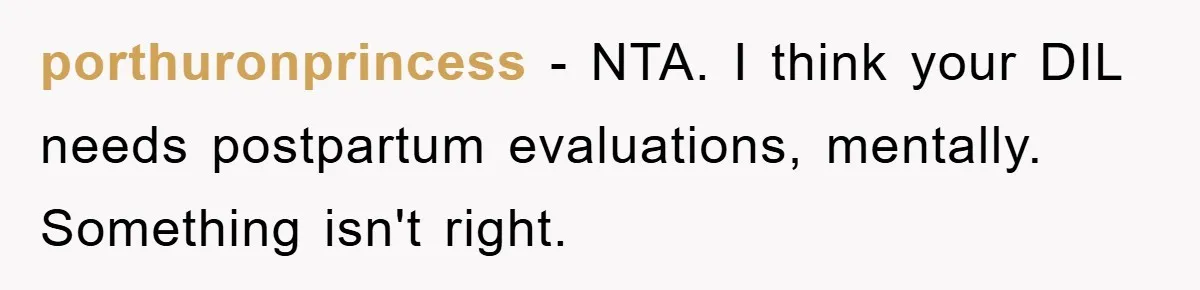porthuronprincess − NTA. I think your DIL needs postpartum evaluations, mentally. Something isn't right.