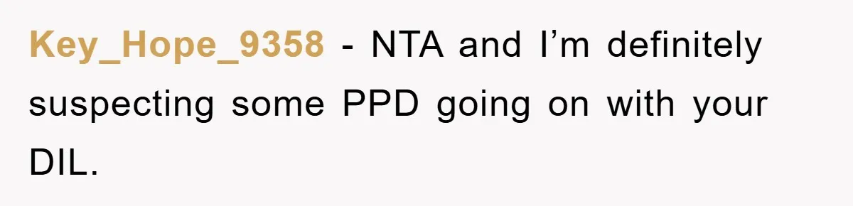 Key_Hope_9358 − NTA and I’m definitely suspecting some PPD going on with your DIL.