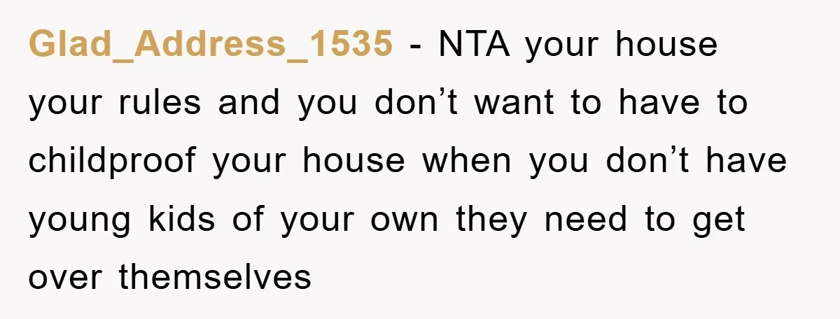 Glad_Address_1535 − NTA your house your rules and you don’t want to have to childproof your house when you don’t have young kids of your own they need to get...