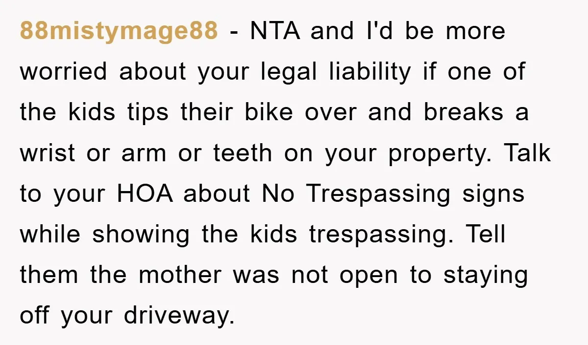 88mistymage88 − NTA and I'd be more worried about your legal liability if one of the kids tips their bike over and breaks a wrist or arm or teeth on...