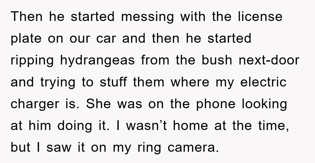 Then he started messing with the license plate on our car and then he started ripping hydrangeas from the bush next-door and trying to stuff them where my electric charger...