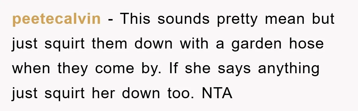 peetecalvin − This sounds pretty mean but just squirt them down with a garden hose when they come by. If she says anything just squirt her down too. NTA
