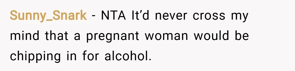 Sunny_Snark − NTA It’d never cross my mind that a pregnant woman would be chipping in for alcohol.