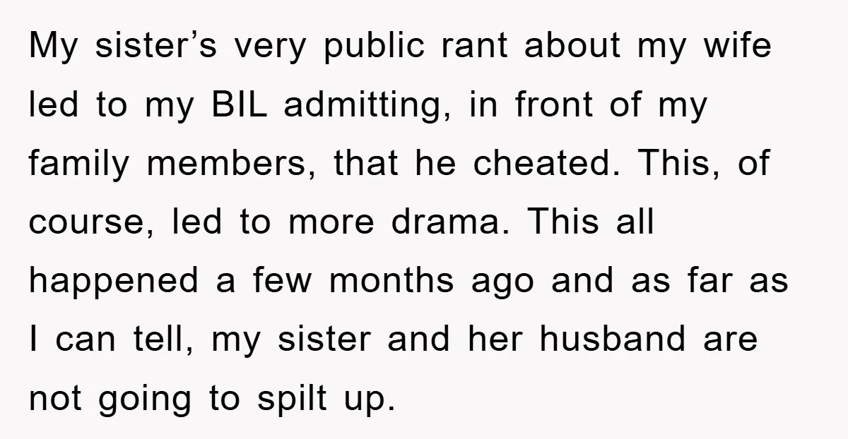 My sister’s very public rant about my wife led to my BIL admitting, in front of my family members, that he cheated. This, of course, led to more drama. This...