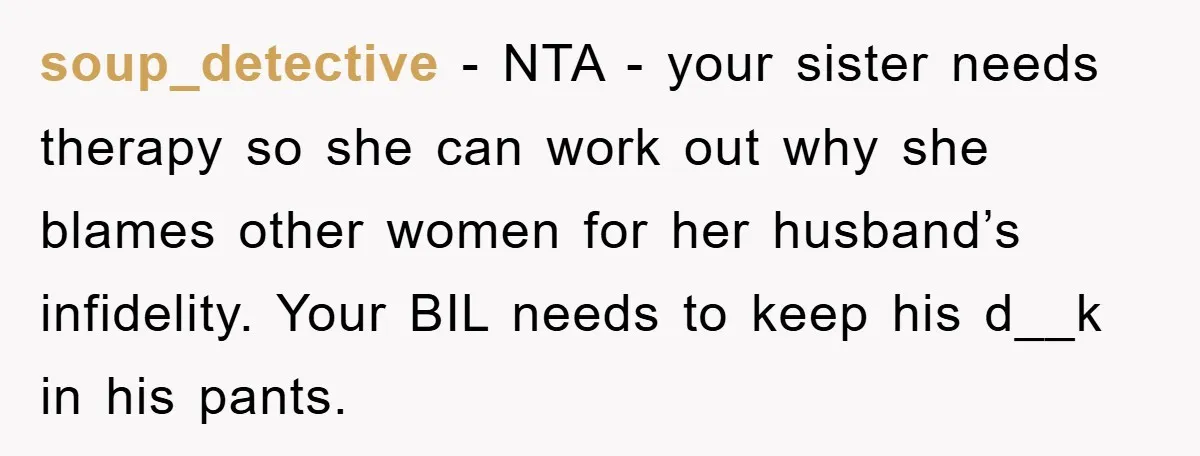 soup_detective − NTA - your sister needs therapy so she can work out why she blames other women for her husband’s infidelity. Your BIL needs to keep his d__k in...
