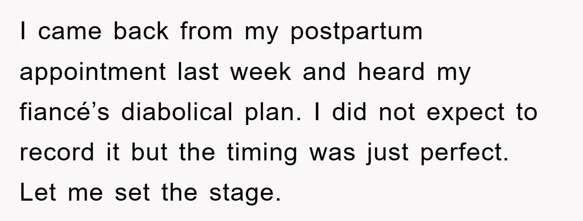 I came back from my postpartum appointment last week and heard my fiancé’s diabolical plan. I did not expect to record it but the timing was just perfect. Let me...