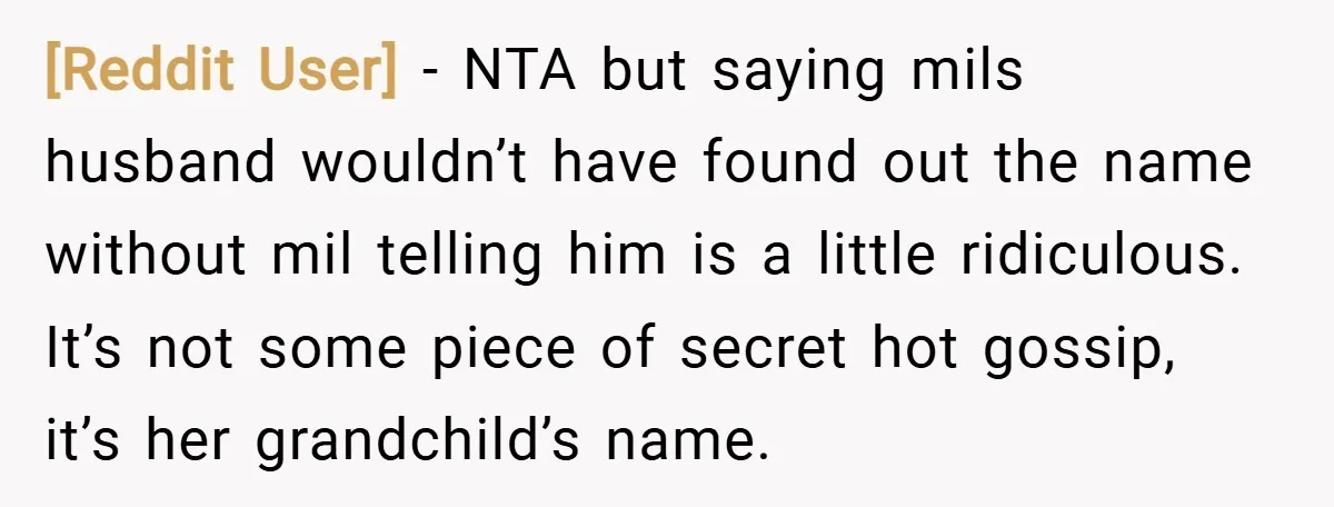 [Reddit User] − NTA but saying mils husband wouldn’t have found out the name without mil telling him is a little ridiculous. It’s not some piece of secret hot gossip,...
