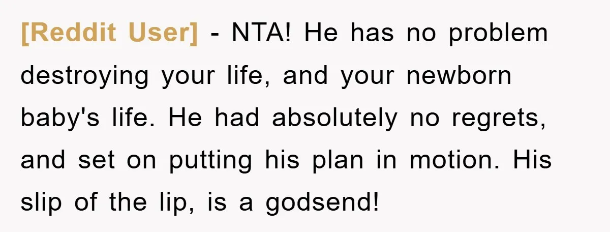 [Reddit User] − NTA! He has no problem destroying your life, and your newborn baby's life. He had absolutely no regrets, and set on putting his plan in motion. His...