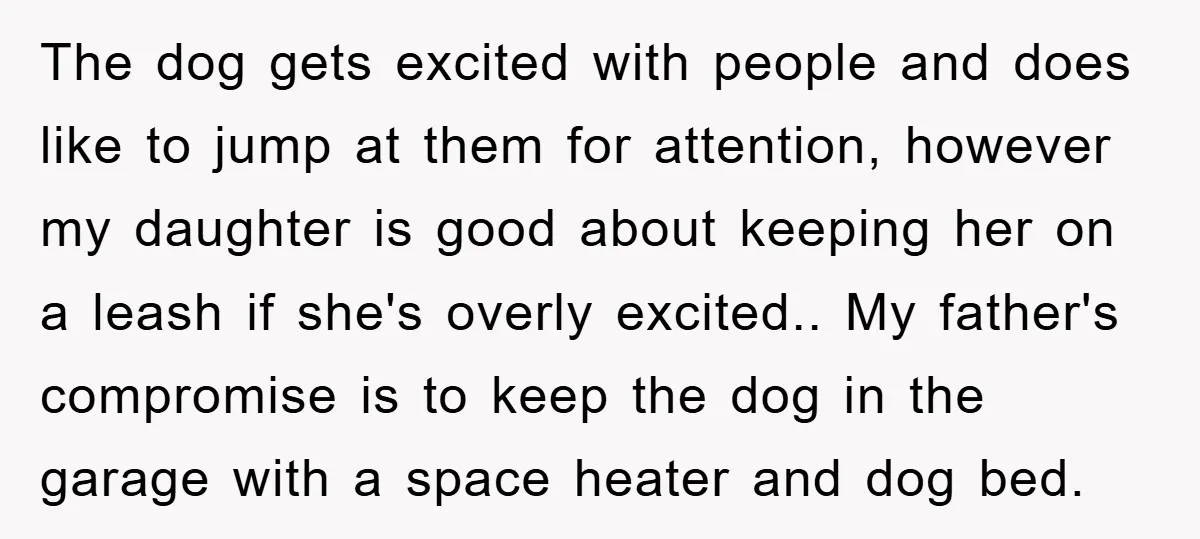 The dog gets excited with people and does like to jump at them for attention, however my daughter is good about keeping her on a leash if she's overly excited.....